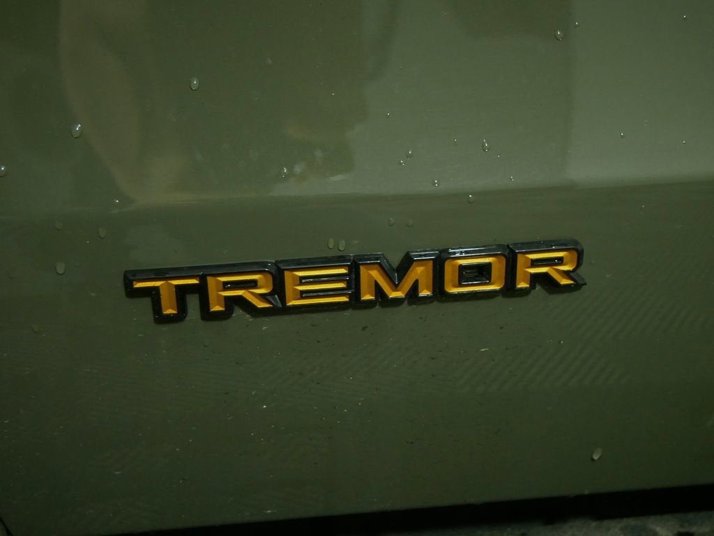 2025 Ford Expedition Tremor